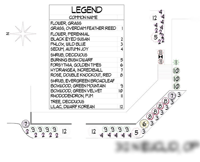 Basic CAD Plan example 3