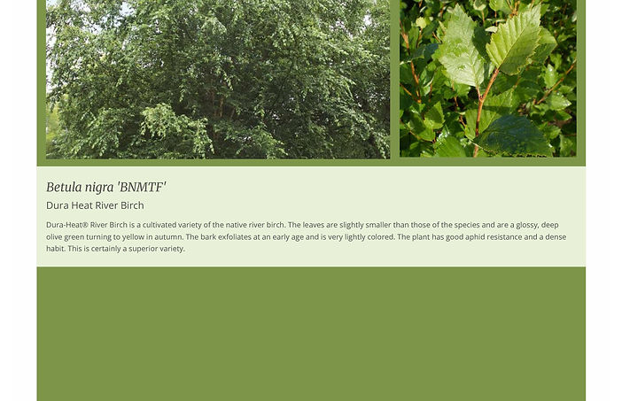 Plant Image Presentations example 2